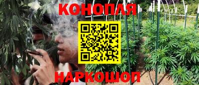 ГАЛЛЮЦИНОГЕННЫЕ ГРИБЫ Кимры
