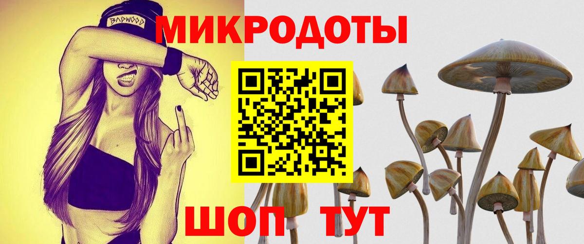 Кохма  Галлюциногенные грибы прущие грибы  Вход с VPN 
