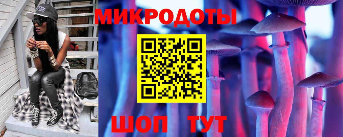 Галлюциногенные грибы Psilocybe Кохма