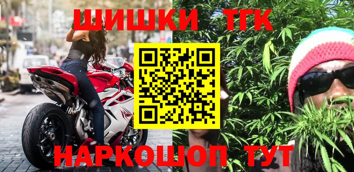 Канабис планчик Кохма